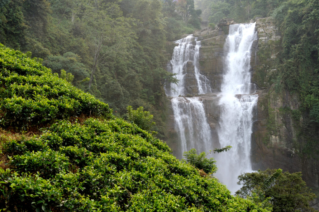 Kerala Tour Package – Explore God’s Own Country with Yash Tour and Travels